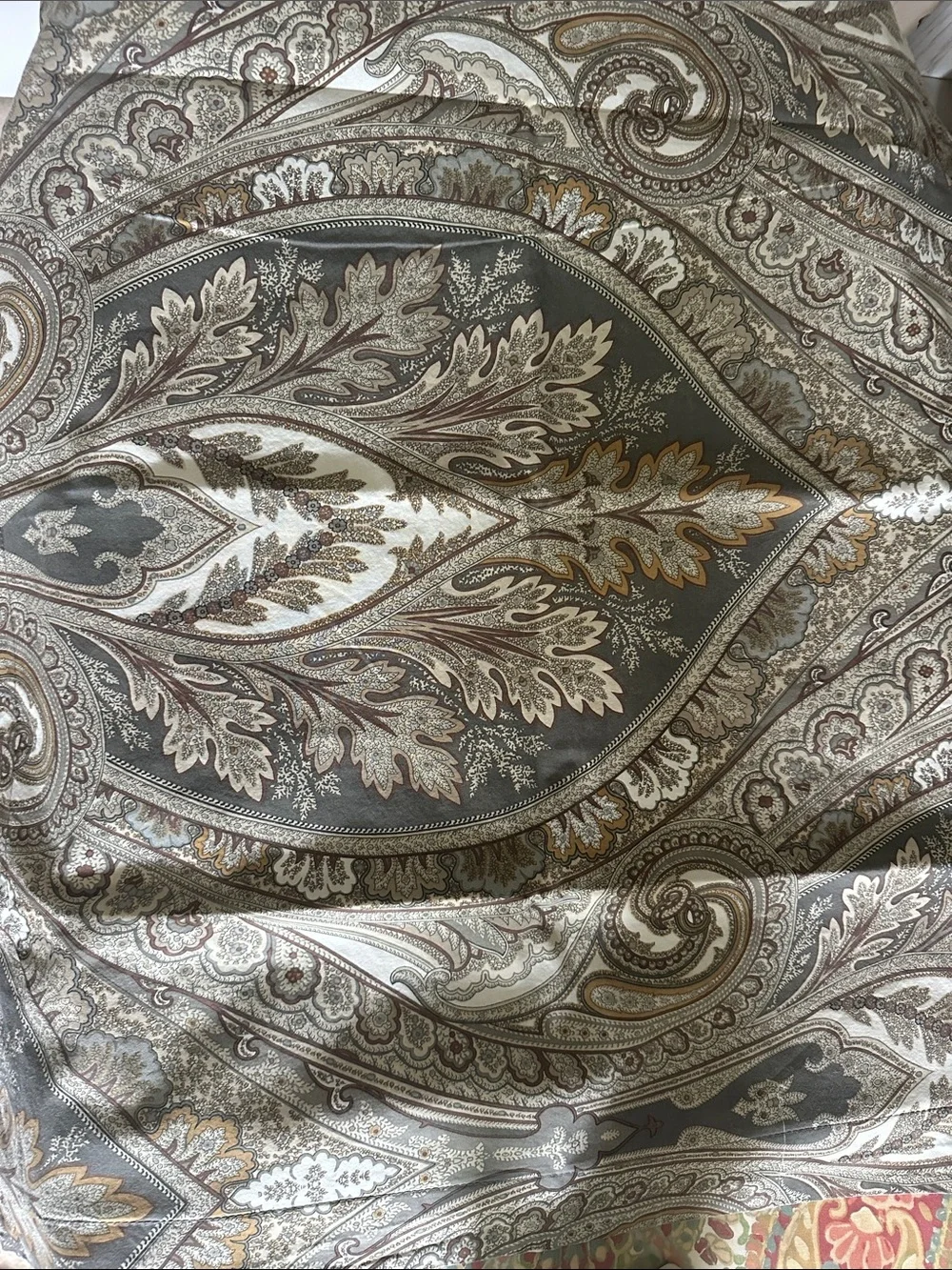 Pottery Barn Anton Paisley medallion  Pillow Shams in Cream, Brown, Olive 2